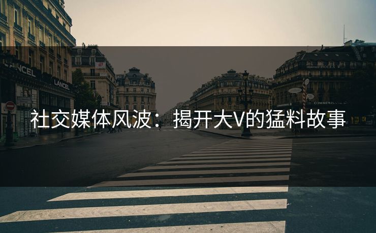 社交媒体风波：揭开大V的猛料故事