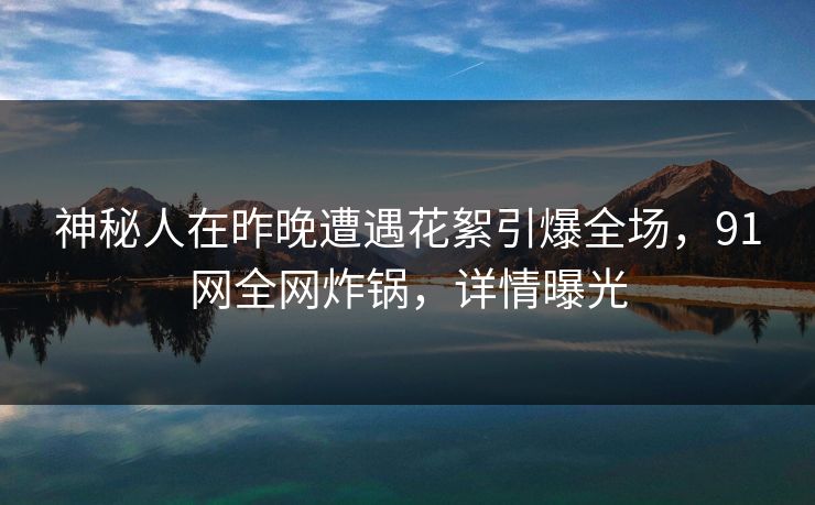 神秘人在昨晚遭遇花絮引爆全场，91网全网炸锅，详情曝光