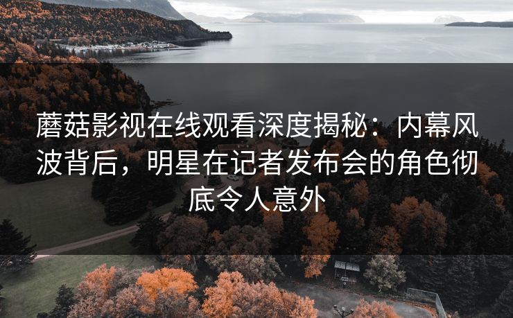 蘑菇影视在线观看深度揭秘：内幕风波背后，明星在记者发布会的角色彻底令人意外
