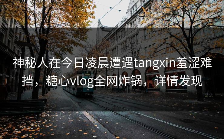 神秘人在今日凌晨遭遇tangxin羞涩难挡，糖心vlog全网炸锅，详情发现