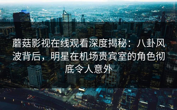 蘑菇影视在线观看深度揭秘:八卦风波背后,明星在机场贵宾室的角色彻底令人意外