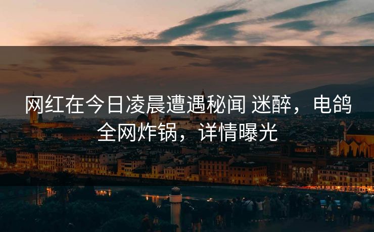网红在今日凌晨遭遇秘闻 迷醉,电鸽全网炸锅,详情曝光