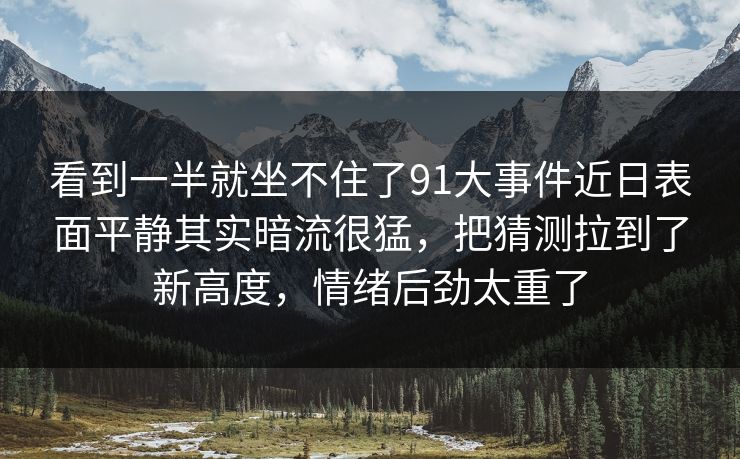看到一半就坐不住了91大事件近日表面平静其实暗流很猛，把猜测拉到了新高度，情绪后劲太重了